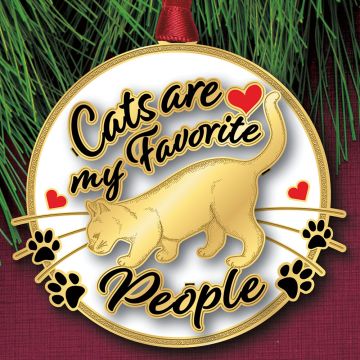 2026 Beacon Design Cat Person Ornament image