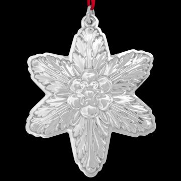 2004 Lunt Star 11th Edition  Sterling Ornament image