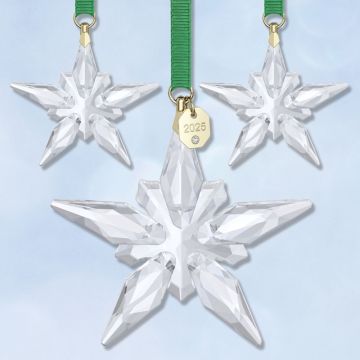 2025 Swarovski Annual Star Crystal Ornament Set image