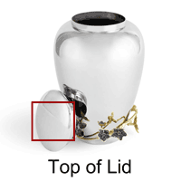 Top of Lid