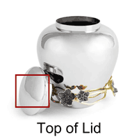 Top of Lid